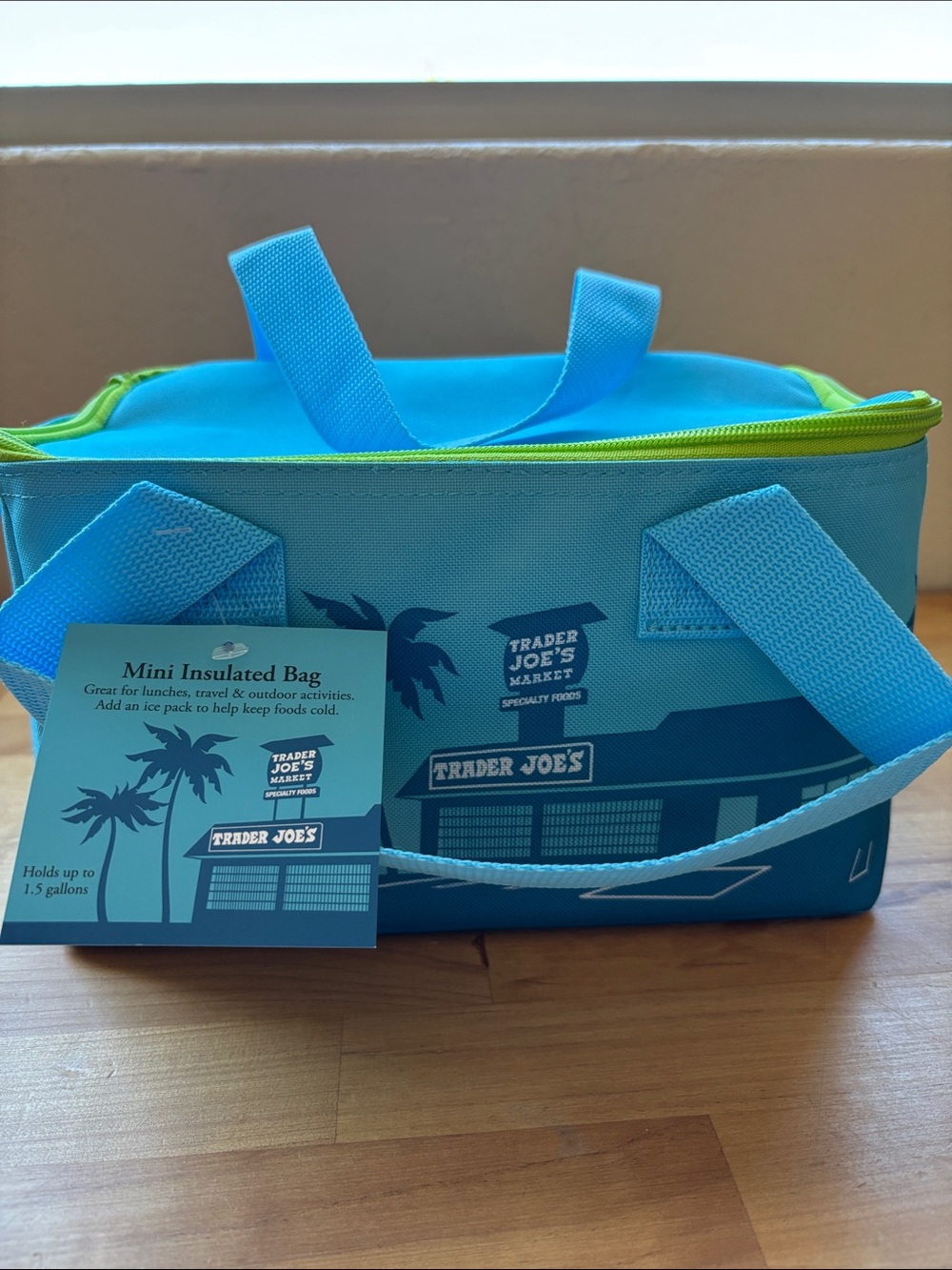 Trader Joe’s Mini Insulated Bag - Turquoise